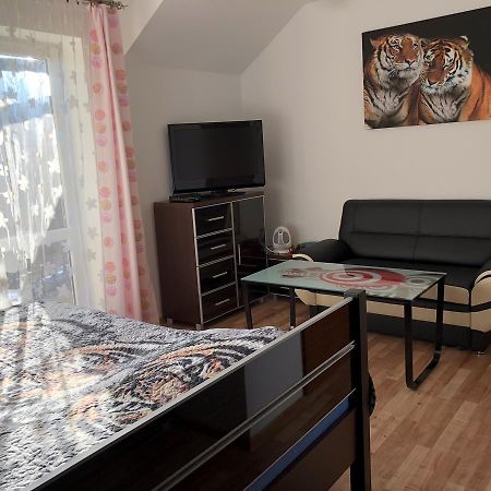 Agata Apartment Wisla Bagian luar foto