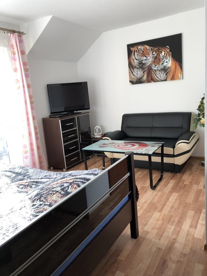 Agata Apartment Wisla Bagian luar foto