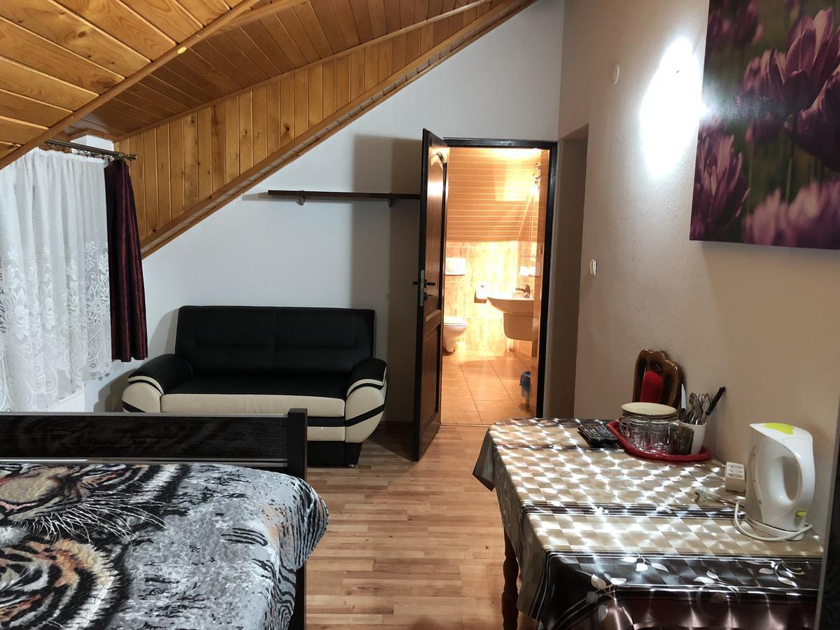 Agata Apartment Wisla Bagian luar foto